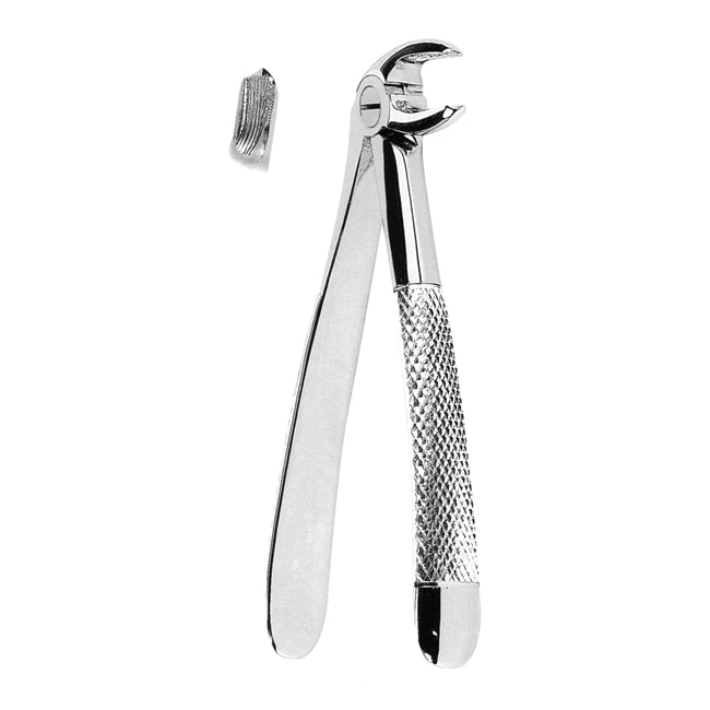 Extracting Forceps