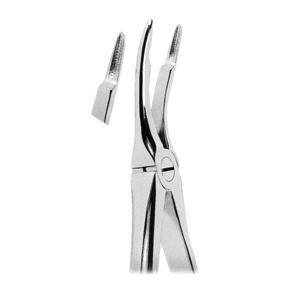 Extracting Forceps