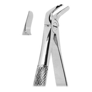 Extracting Forceps