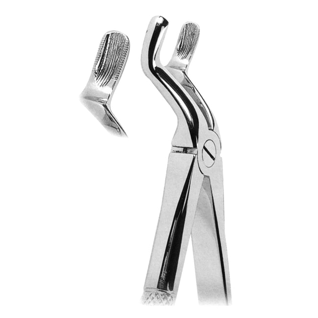 Extracting Forceps