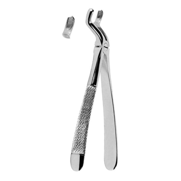 Extracting Forceps