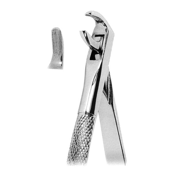 Extracting Forceps