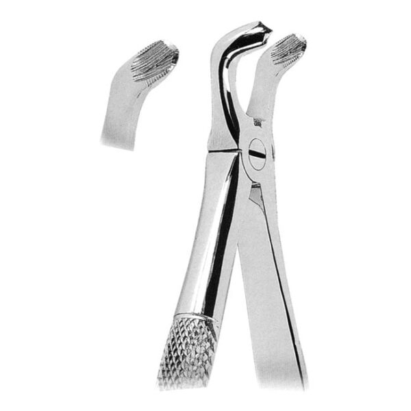 Extracting Forceps