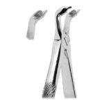 Extracting Forceps