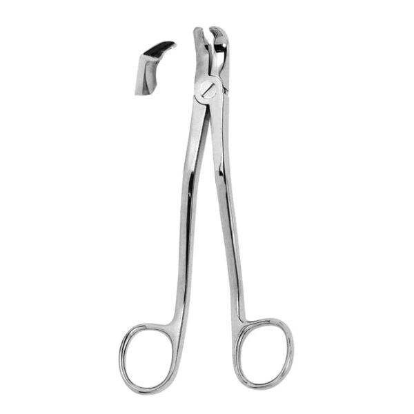 Extracting Forceps