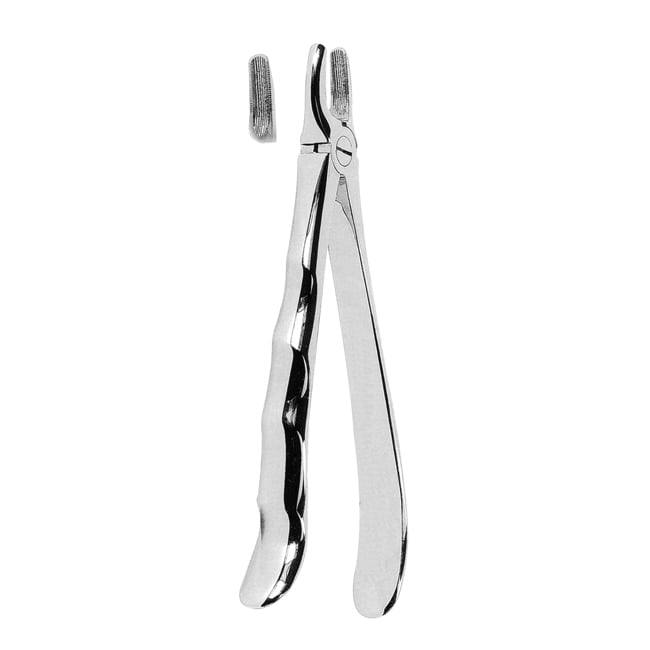 Extracting Forceps- Mead Pattern