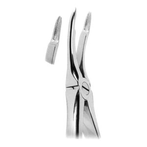 Extracting Forceps with Anatomically Shaped Handle