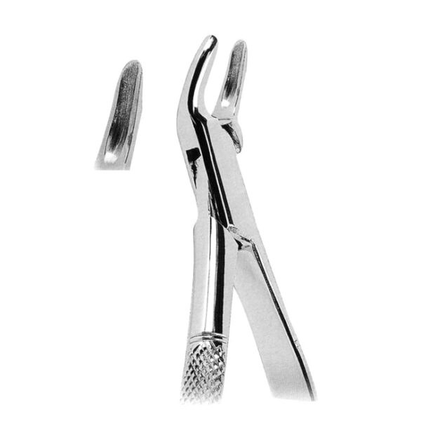 Extracting Forceps American Pattern