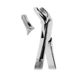 Extracting Forceps American Pattern