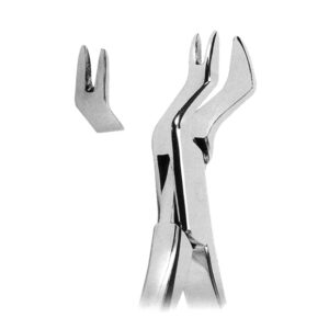 Extracting Forceps American Pattern