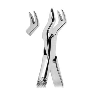 Extracting Forceps American Pattern