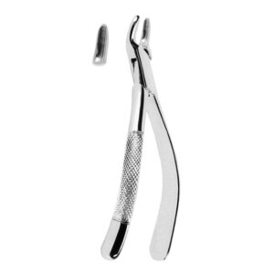 Extracting Forceps American Pattern