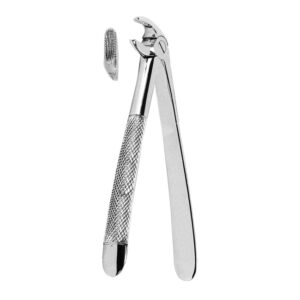 Extracting Forceps American Pattern