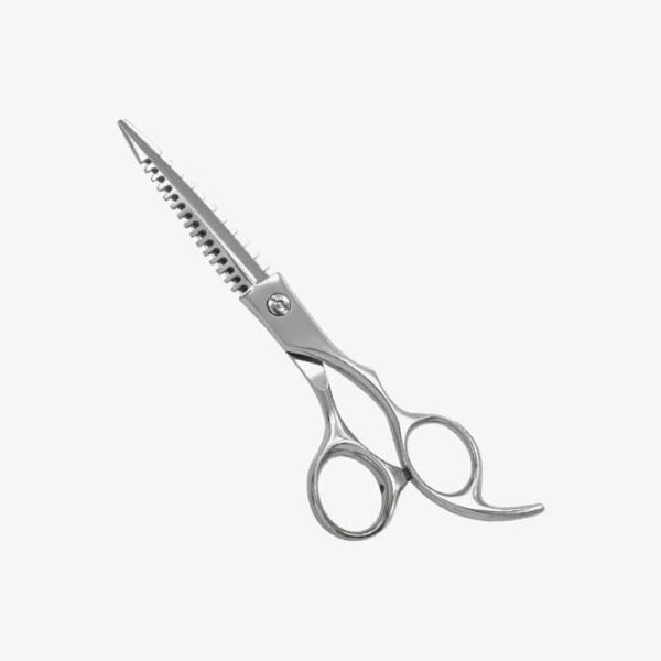 Professional Thinning Shears