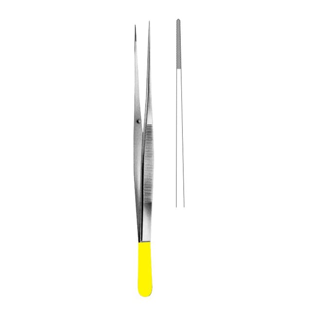 TC Dissecting Forceps