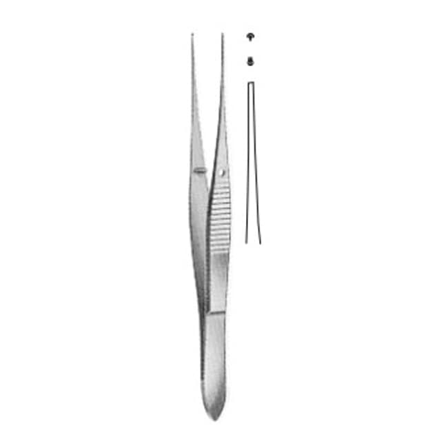 Toothed Dissecting Forceps