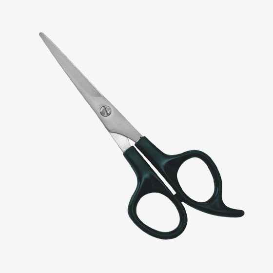 Barber Shears