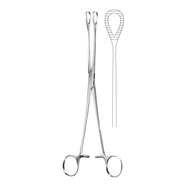 Sponge Holding Forceps