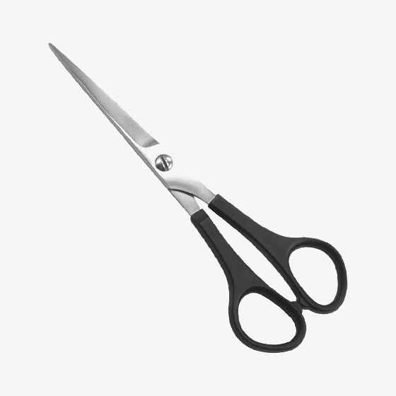 Barber Shears