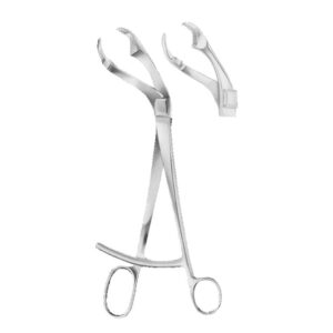 Bone Holding Forceps